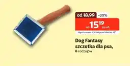 Kakadu Szczotka dla psa Dog Fantasy oferta