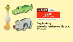Kakadu Zabawka dla psa Dog Fantasy oferta