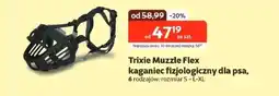 Kakadu Kaganiec dla psa Trixie oferta
