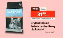 Kakadu Żwirek bentonitowy Brylant oferta