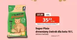 Kakadu Żwirek drewniany Pinio oferta