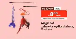 Kakadu Wędka dla kota Magic cat oferta
