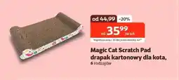 Kakadu Drapak dla kota Magic cat oferta