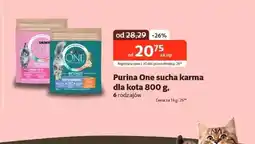 Kakadu Karma dla kota Purina oferta