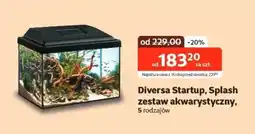 Kakadu Zestaw akwarystyczny Diversa oferta