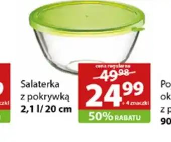 Stokrotka Salaterka oferta
