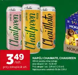 Stokrotka Napój Chaigreen oferta