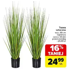 Carrefour Trawa sztuczna oferta