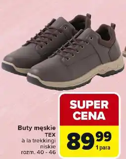 Carrefour Buty męskie TEX oferta