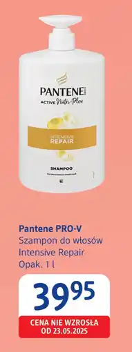 dm drogerie markt Szampon Pantene oferta