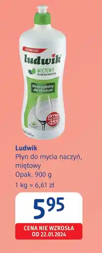 dm drogerie markt Płyn do naczyń Ludwik oferta