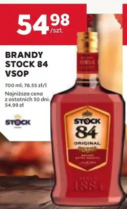 Stokrotka Brandy Stock oferta