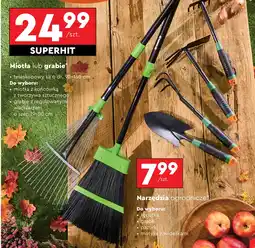 Biedronka Grabie ogrodnicze oferta