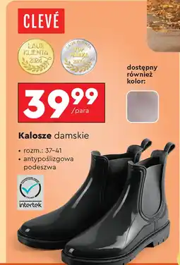 Biedronka Kalosze Cleve oferta