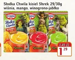 Hale Banacha Kisiel Słodka Chwila oferta