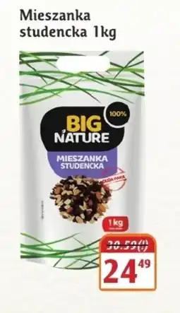 Hale Banacha Mieszanka studencka Big Nature oferta