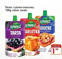 Hale Banacha Deser Łowicz oferta