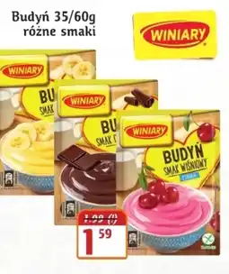 Hale Banacha Budyń Winiary oferta
