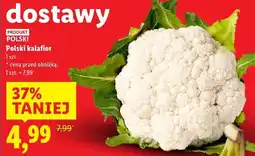 Lidl Polski kalafior Lidl oferta