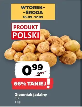 Netto Ziemniak jadalny Netto oferta