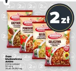 Netto Zupa błyskawiczna różne rodzaje Amino oferta