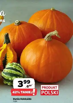 Netto Dynia Hokkaido Z Zieleniaka oferta