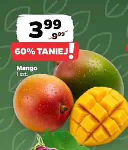 Netto Mango Netto oferta
