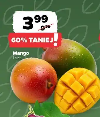 Netto Mango Netto oferta