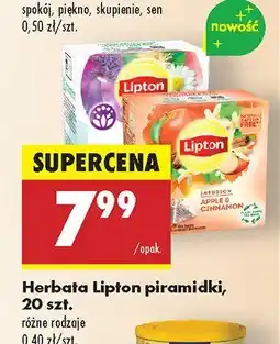 Biedronka Herbata Lipton piramidki różne rodzaje oferta