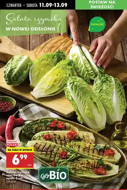 Biedronka Sałata rzymska mini Go Bio oferta