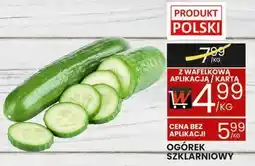 Wafelek Ogórek szklarniowy Wafelek oferta