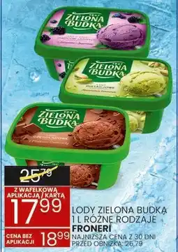 Wafelek Lody zielona budka różne rodzaje Froneri oferta