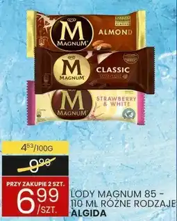 Wafelek Lody magnum różne rodzaje Algida oferta