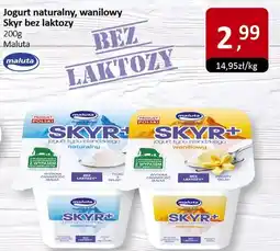 Market Point Jogurt naturalny, waniliowy Skyr bez laktozy Maluta oferta