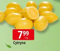 E.Leclerc Cytryny oferta