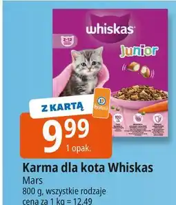 E.Leclerc Karma dla kota kurczak Whiskas Junior oferta