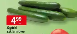 E.Leclerc Ogórek szklarniowy oferta