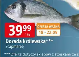 E.Leclerc Dorada Scapmaree oferta