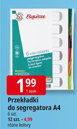 E.Leclerc Przekładki a4 do segregatora Wiodąca Marka Esquisse oferta