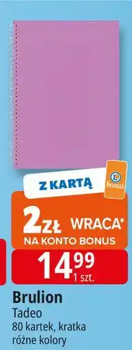 E.Leclerc Brulion 80 k kratka Tadeo oferta