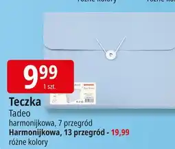 E.Leclerc Teczka harmonijkowa 13 przegród Penmate oferta