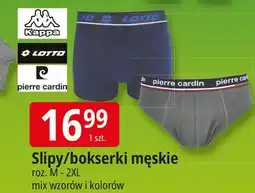 E.Leclerc Slipy męskie m-2xl Pierre Cardin Paris oferta