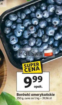 Auchan Borówki amerykańskie 250 g Auchan oferta