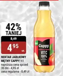 bi1 Nektar jabłkowy mętny cappy oferta