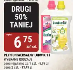 bi1 Płyn uniwersalny ludwik oferta