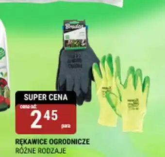 bi1 Rękawice ogrodnicze oferta