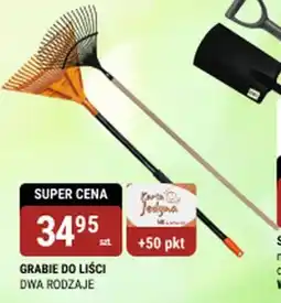 bi1 Grabie do liści oferta