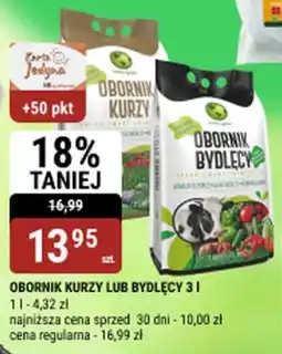 bi1 Obornik kurzy lub bydlęcy oferta