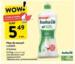 Intermarche Płyn do naczyń ludwik oferta