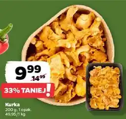 Netto Kurki - całe oferta
